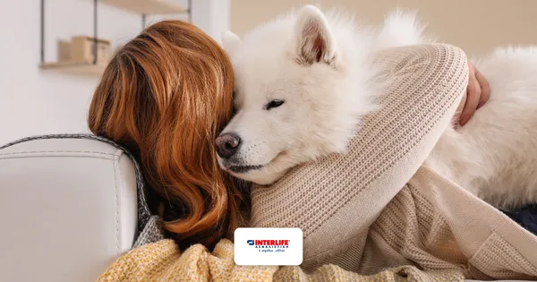 Ασφάλιση Κατοικιδίου INTERLIFE: Πώς το PETCare Plus Προστατεύει τον Σκύλο σας από Ατυχήματα και Ασθένειες